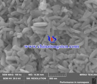 BTO 100kx 500nm scale SEM