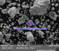 蓝色氧化钨SEM图-50um