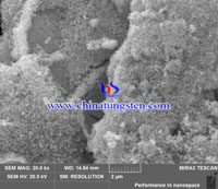 蓝色氧化钨SEM图-1um