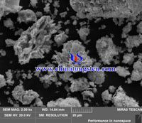 蓝色氧化钨SEM图-10um