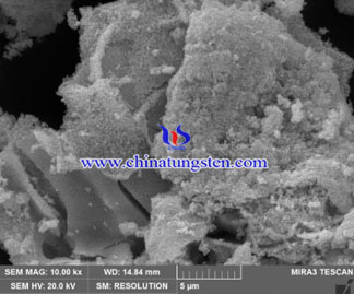 BTO SEM 20kx 2um scale