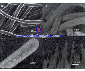 W20O58 matriz de nanofios SEM